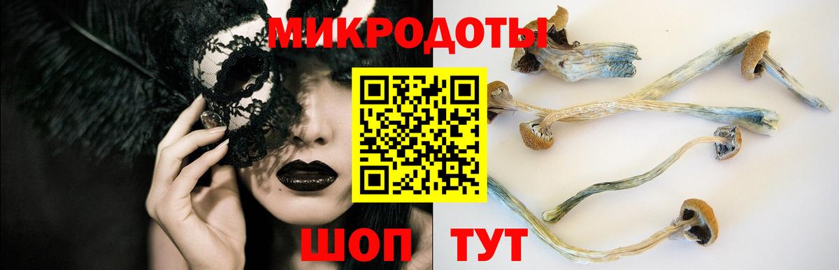 Галлюциногенные грибы ЛСД  Псилоцибиновые грибы ЛСД  Вход с VPN  Богородск 